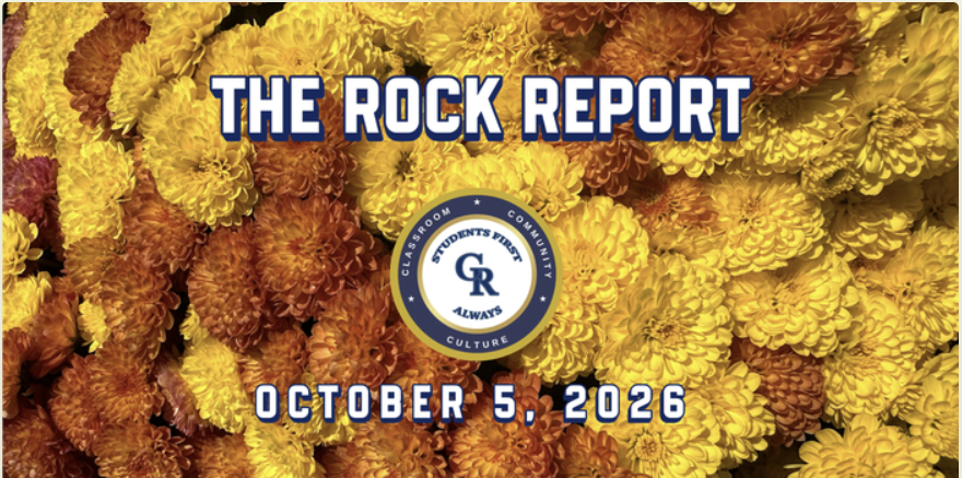 The Rock Report on top of yellow and orange mums