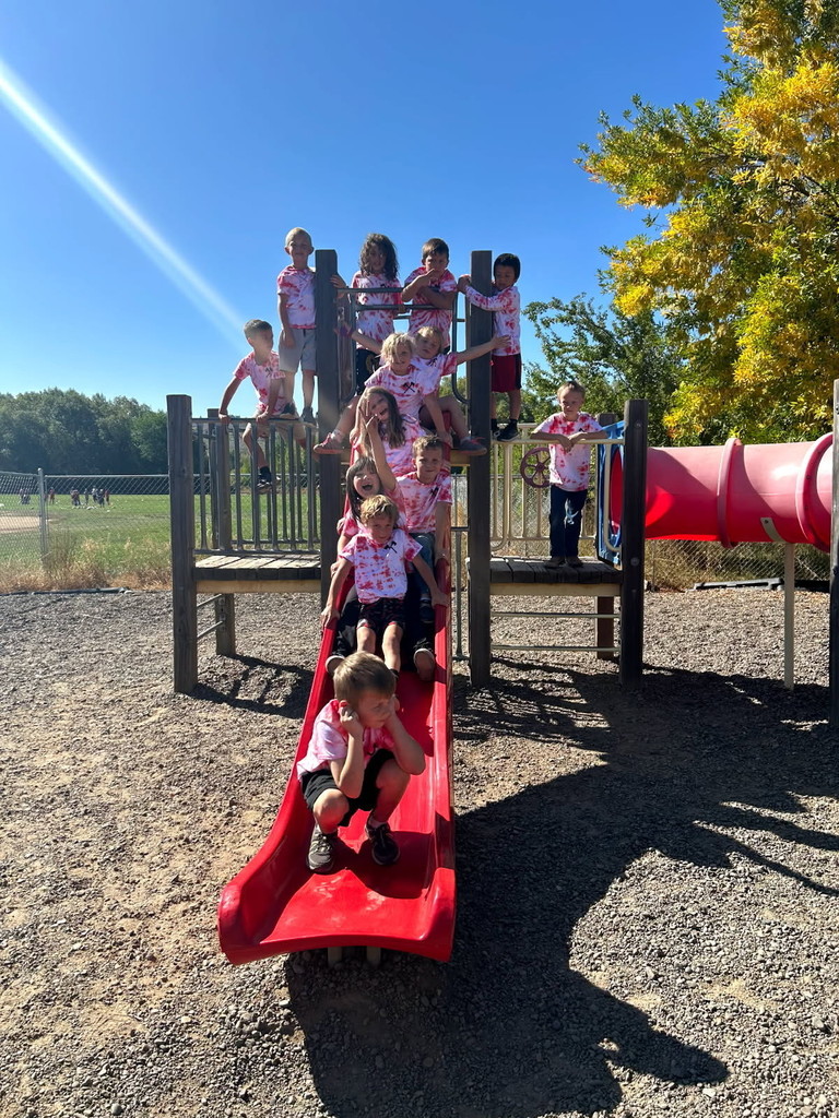 Students on slide