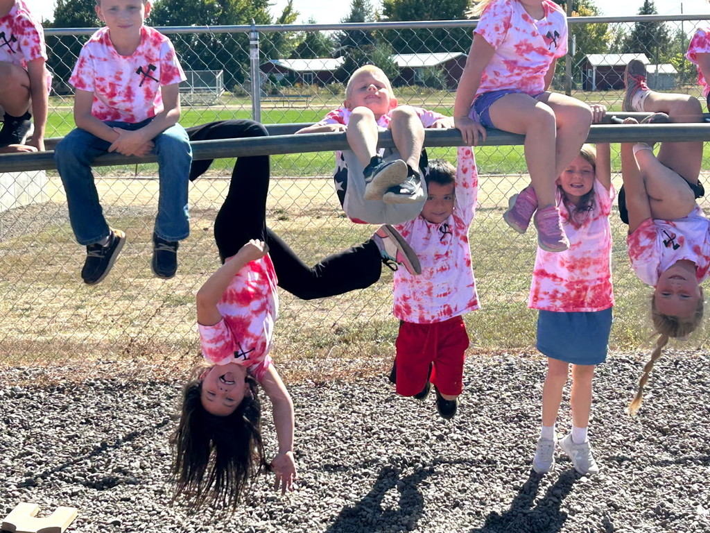 Students hang from monkey bars