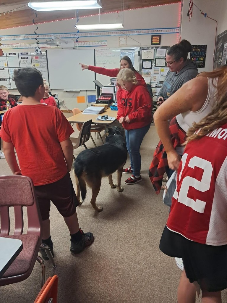 teacher points, dog in classroom