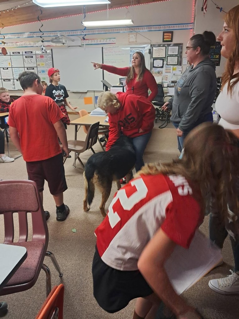 teacher points, dog in classroom