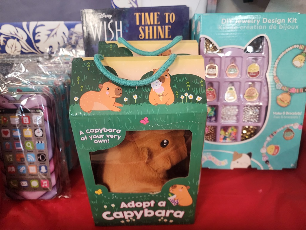 toys on display in boxes