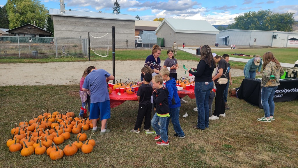 pumpkins on ground and children looking at them