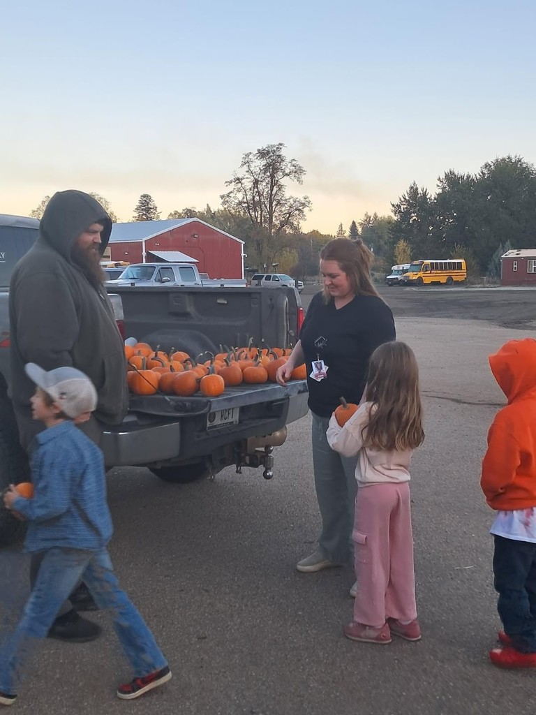 pickup bed full of pumpkins