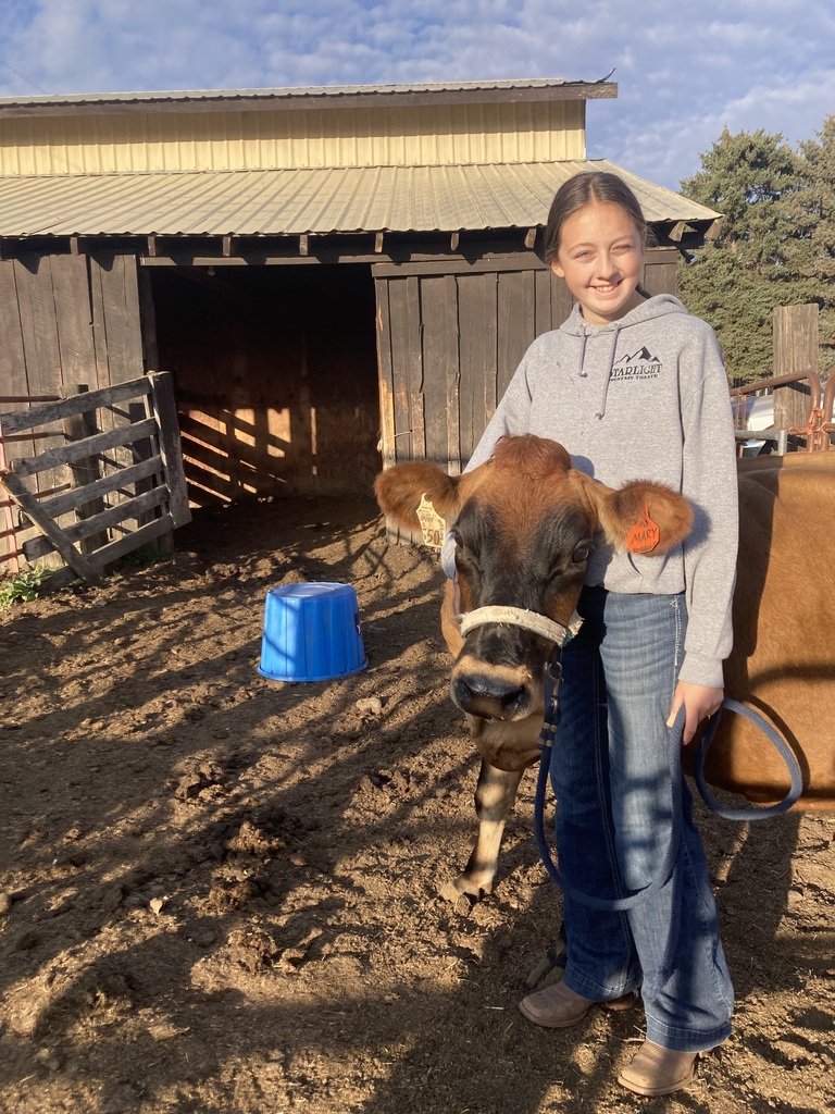 Students milking cows
