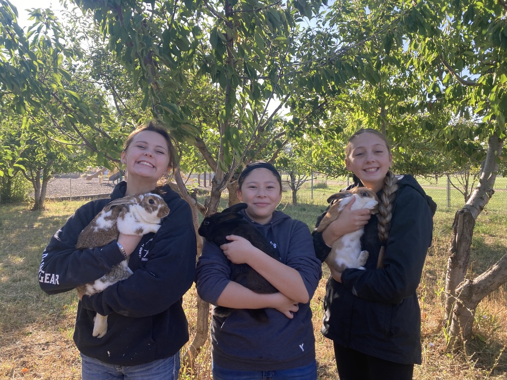 Students with their rabbits