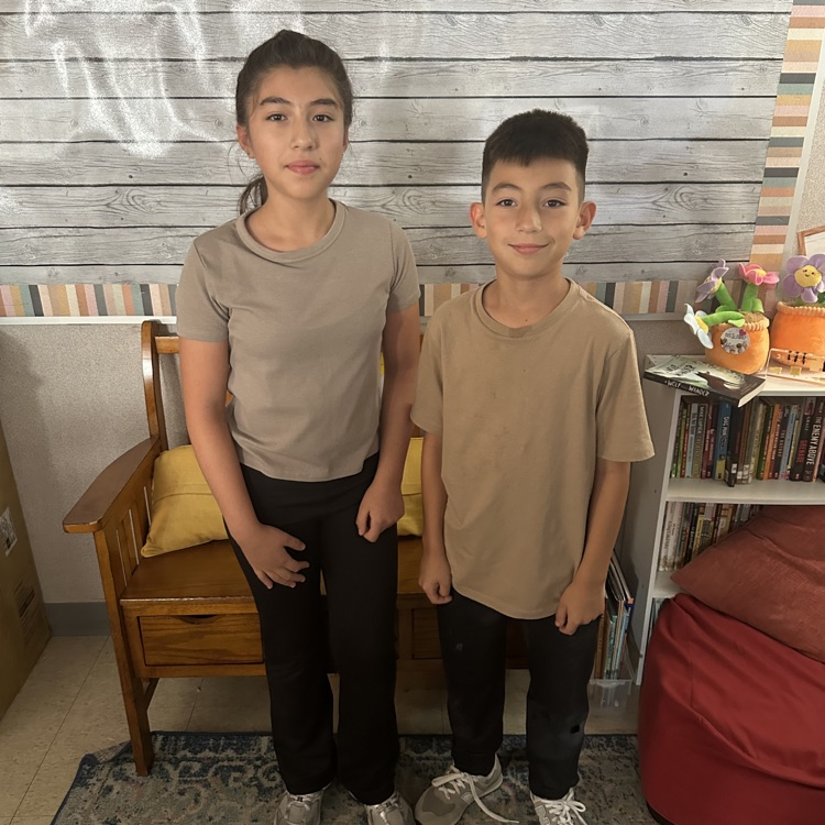 twin