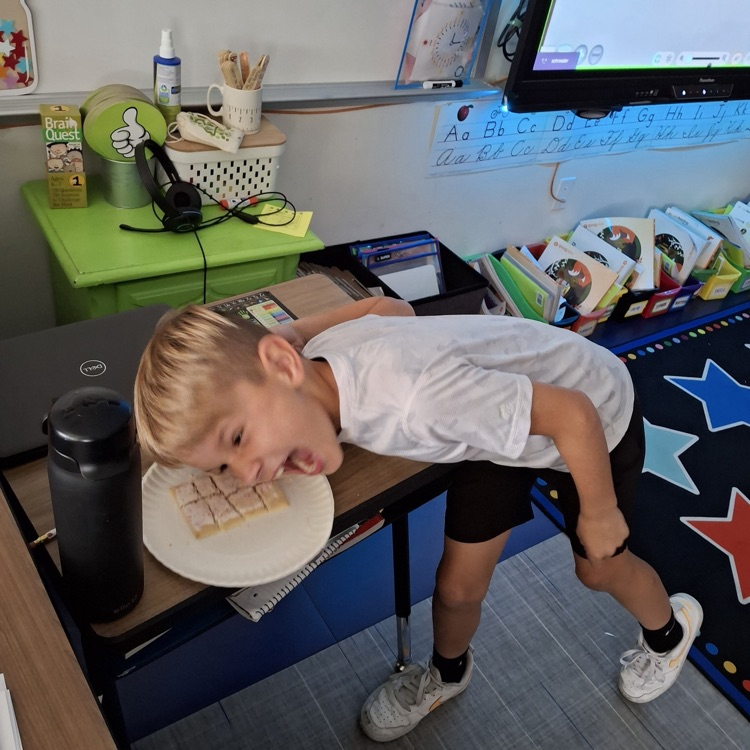 Poptart Fractions in Mrs. Schroeder's class