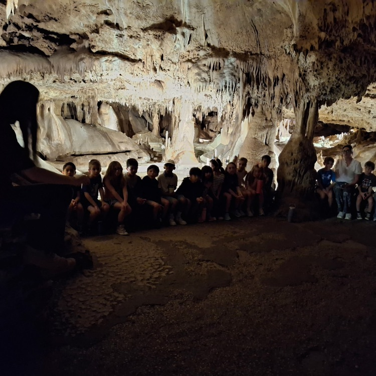 field trip