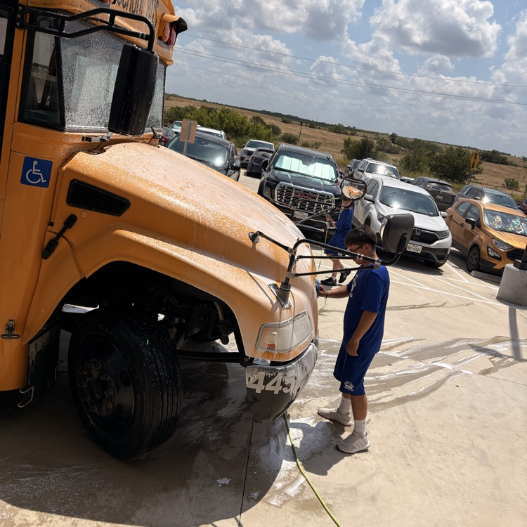 bus