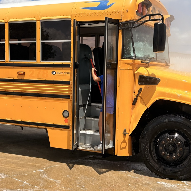 bus