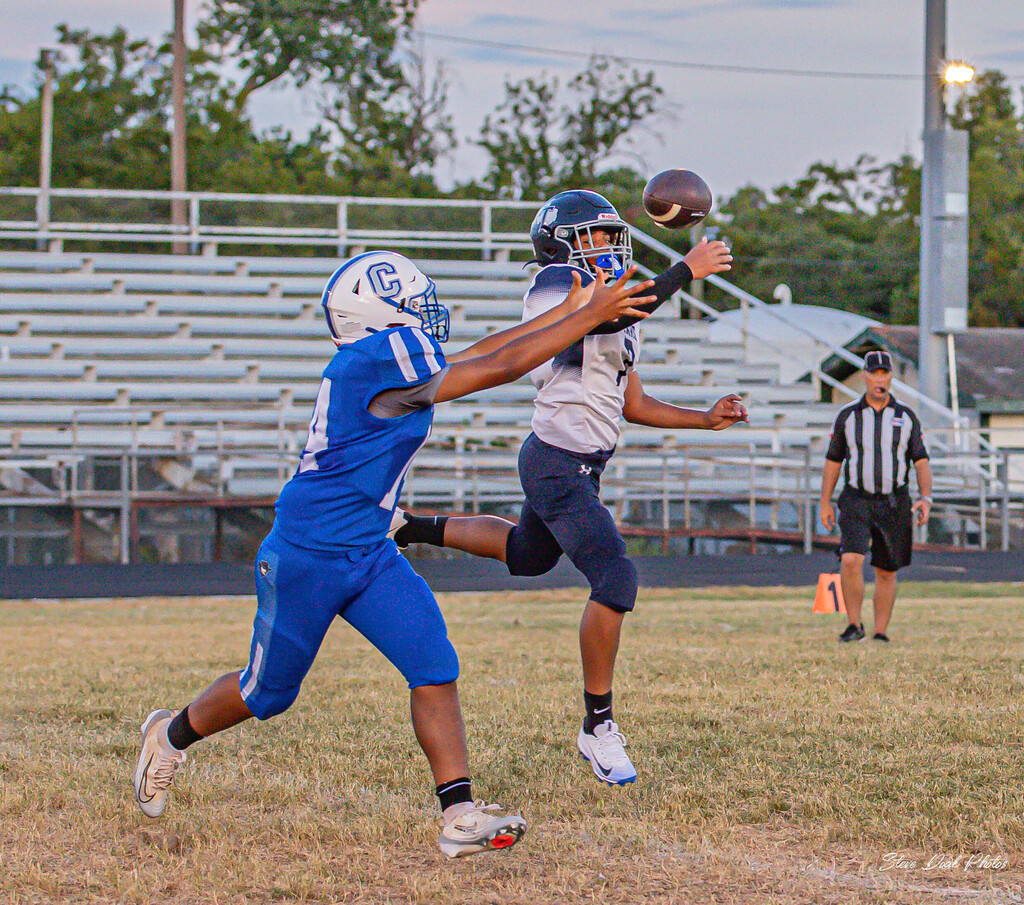 CHS FB2
