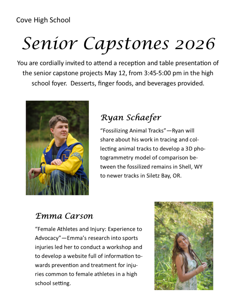 Capstone Flyer