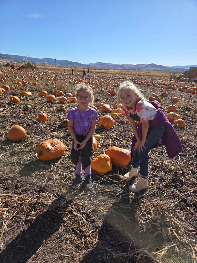 Pumpkin Patch