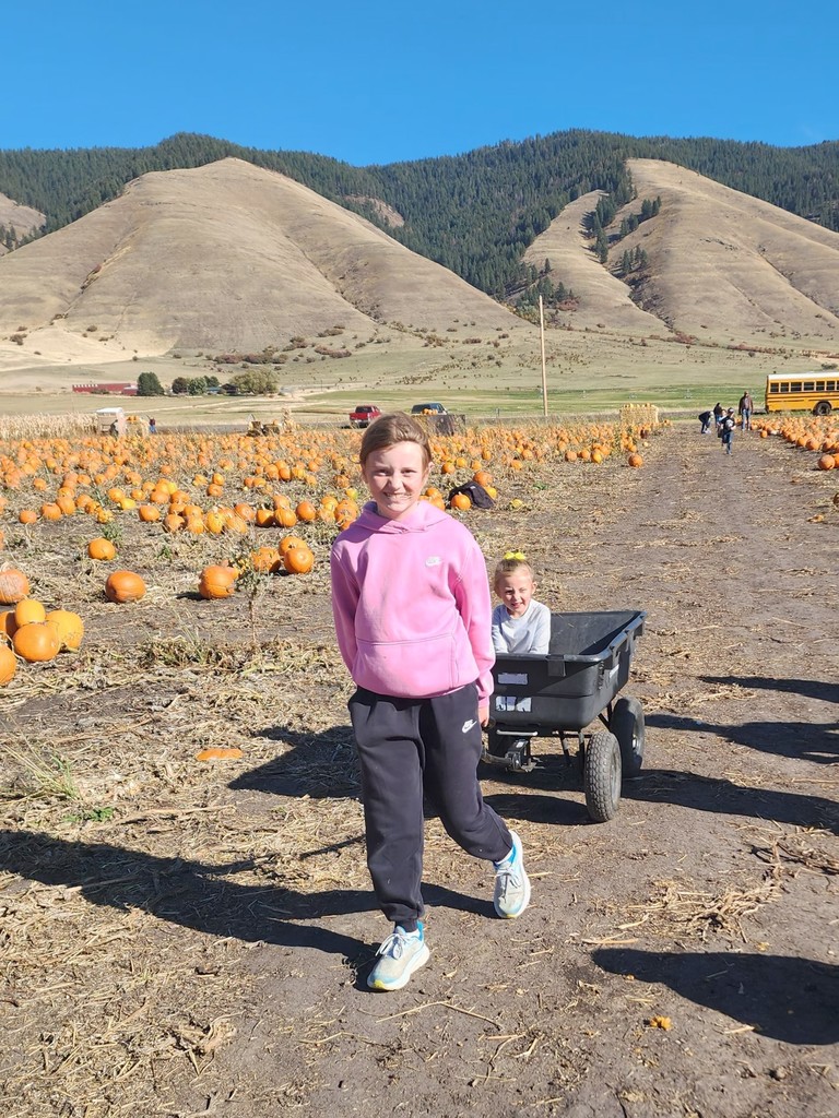Pumpkin Patch