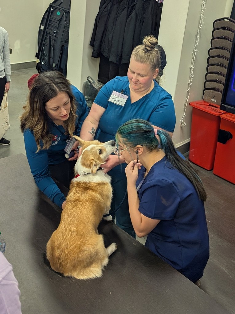Three women in blue scrubs examine a dog sitting on a table. One is petting the dog while another uses a stethoscope.