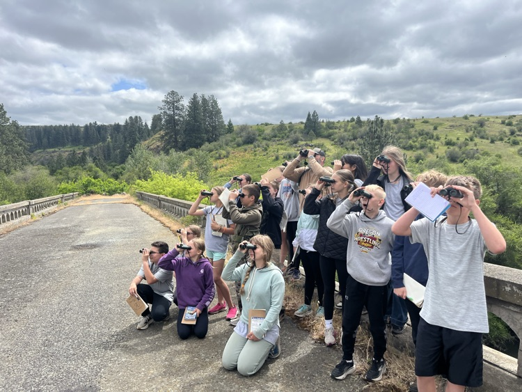 Birding helps humans focus!