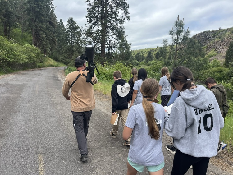 Birding helps humans focus!