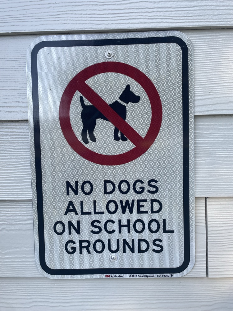 dogs