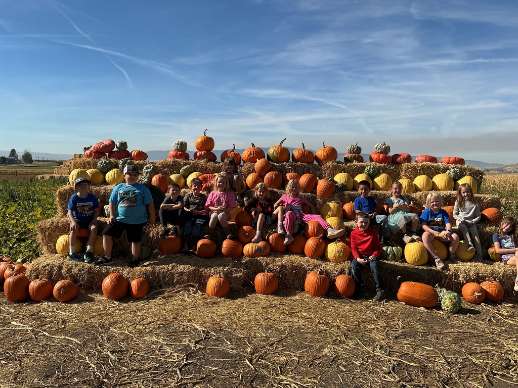 1st grade had fun picking out pumpkins today at the Pick'N Patch! The weather was beautiful and there were smiles and laughter all around! 