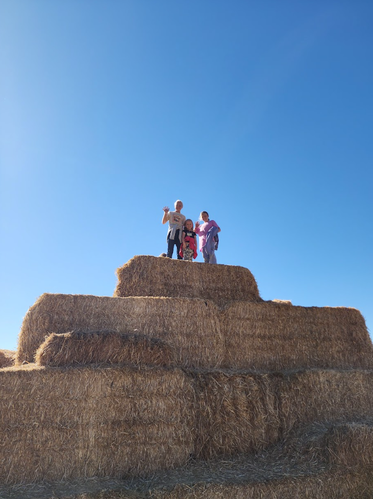 Pumpkin Patch