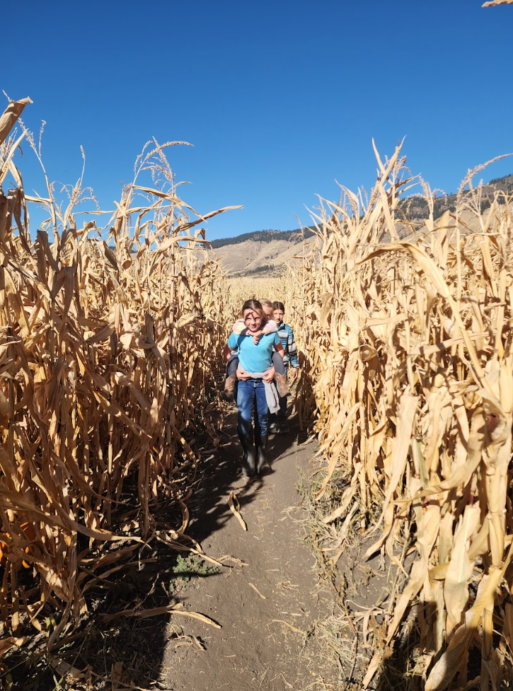 Pumpkin Patch