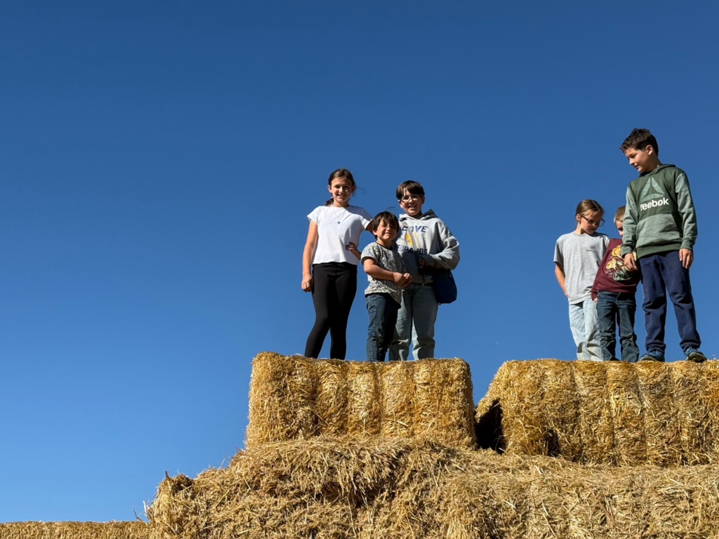 Pumpkin Patch