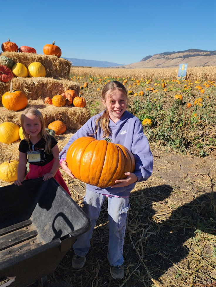 Pumpkin Patch