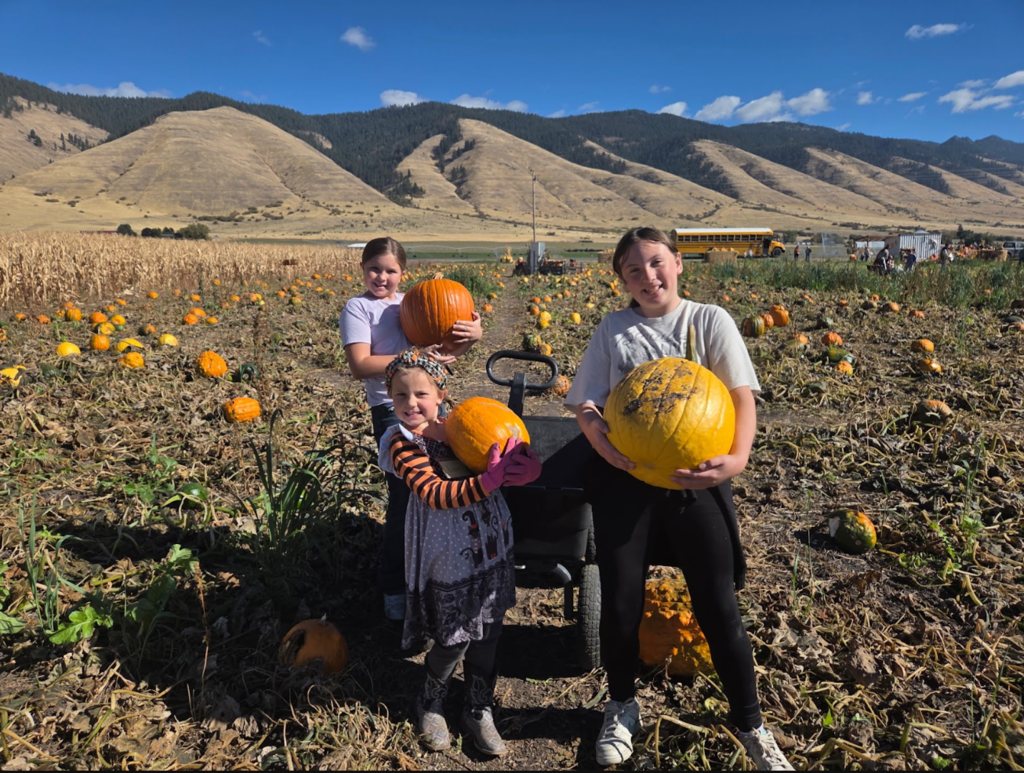 Pumpkin Patch