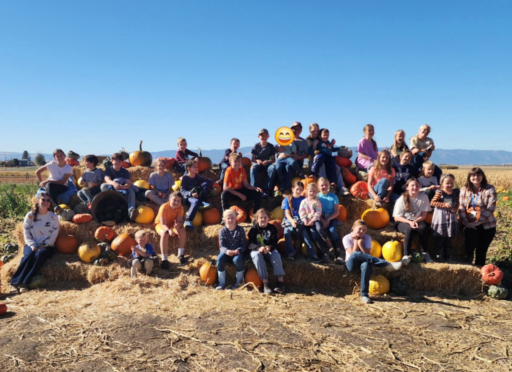 Pumpkin Patch