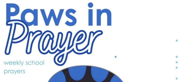 paws in prayer