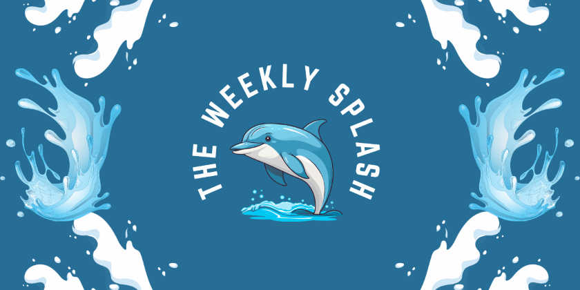 The Weekly Splash header