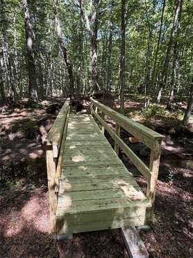 CGS Bridge