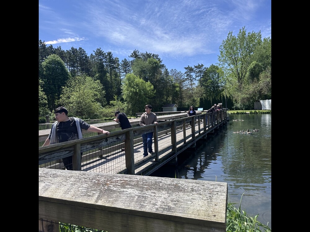 kids looking at fish on bridge