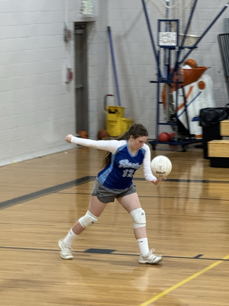 volleyball game