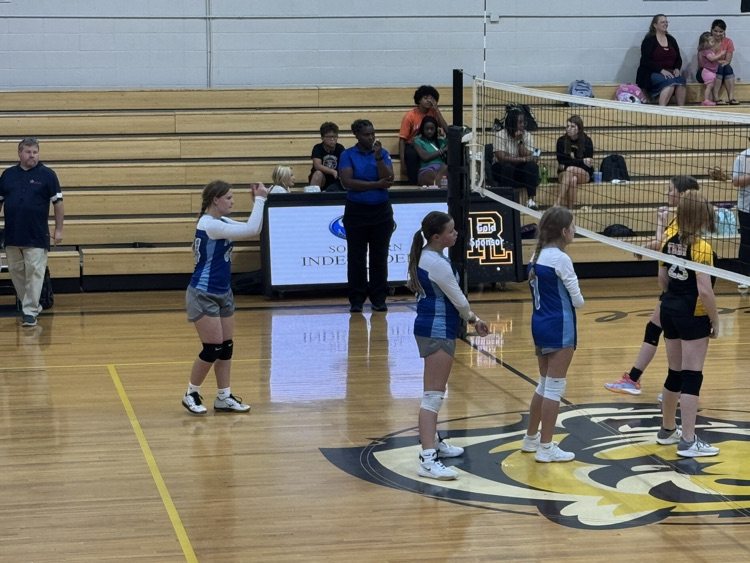 volleyball game
