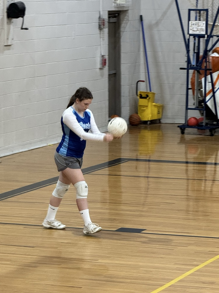 volleyball game