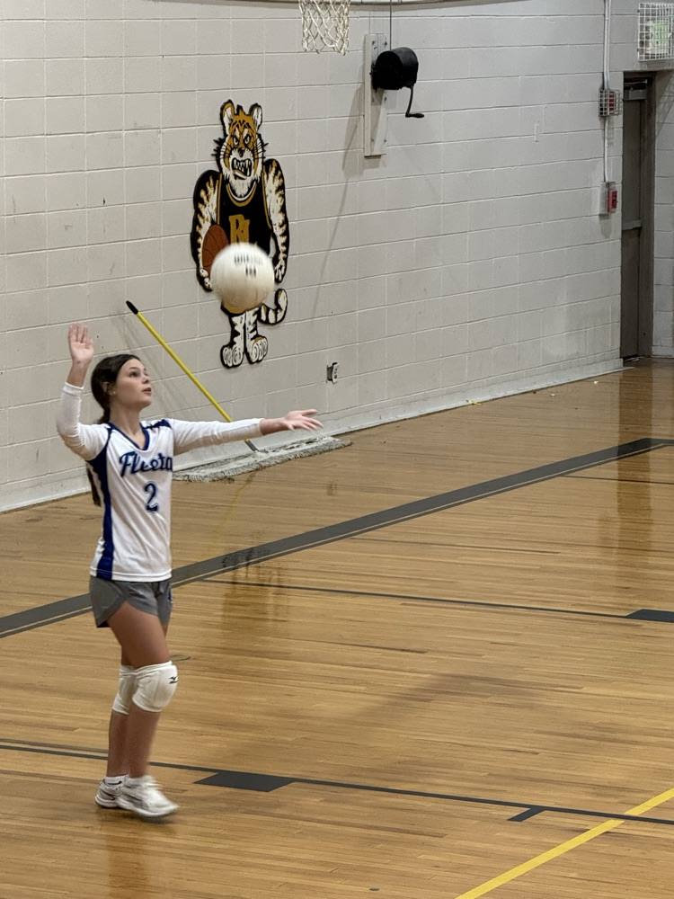 volleyball game