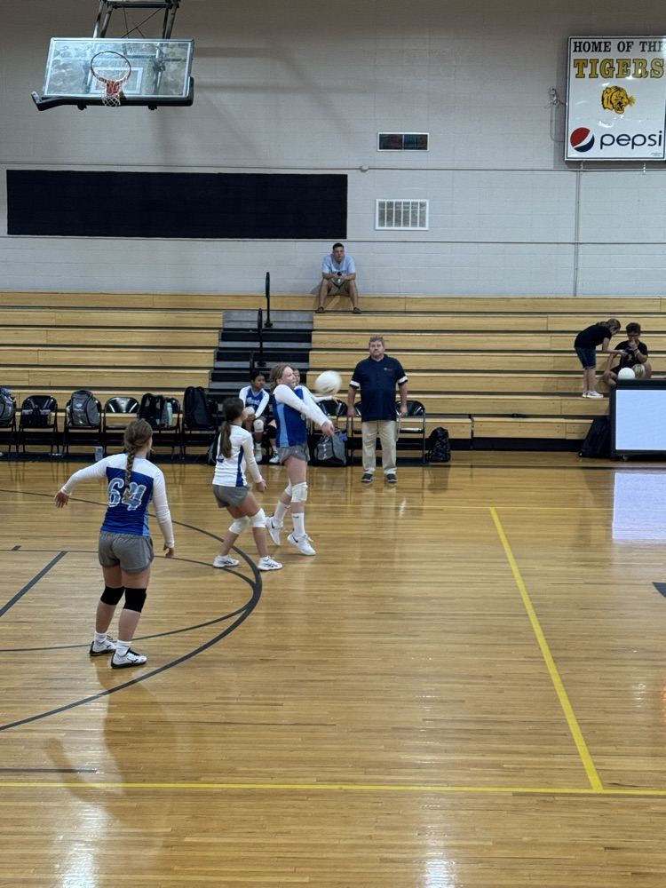 volleyball game