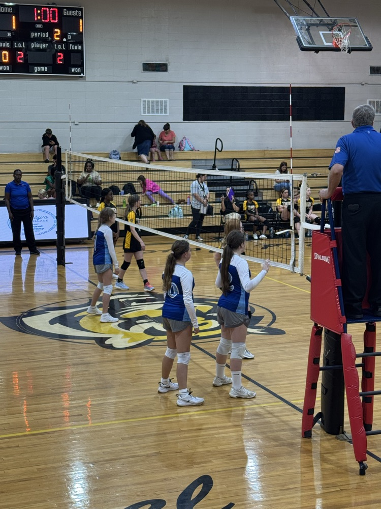 volleyball game