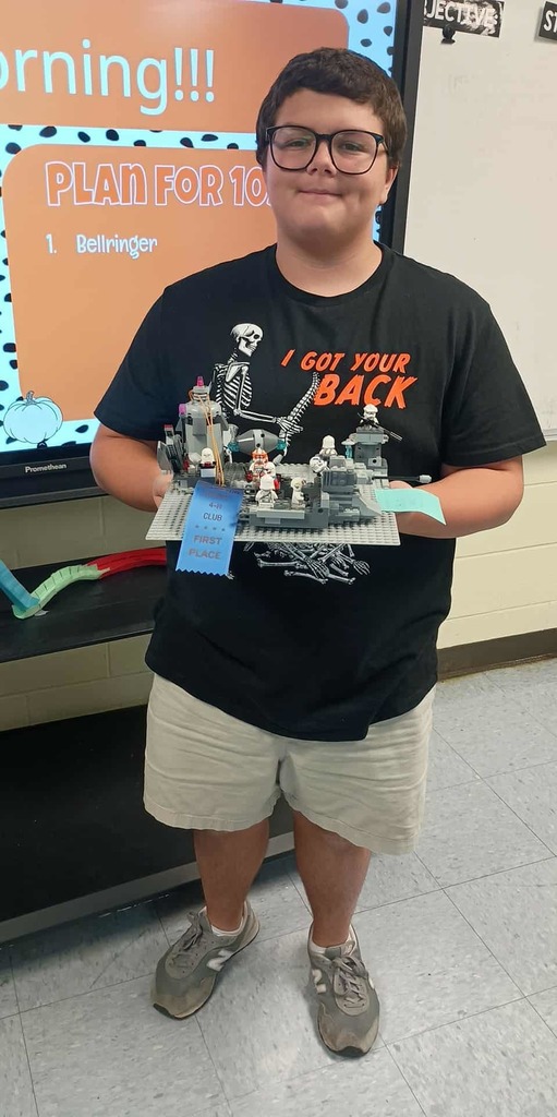 lego project winner
