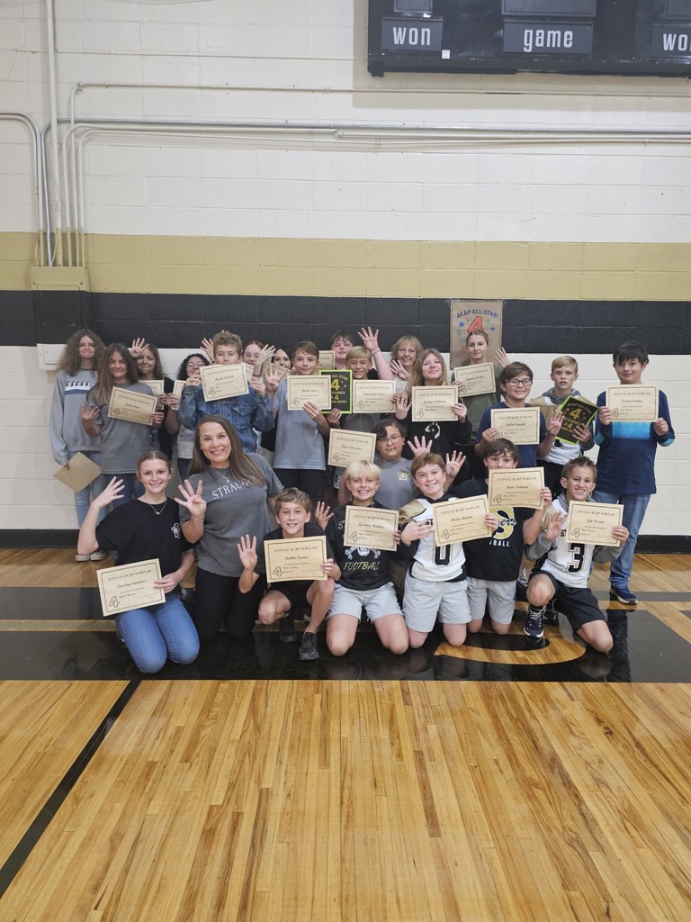 Students who made 4's on the ACAP.