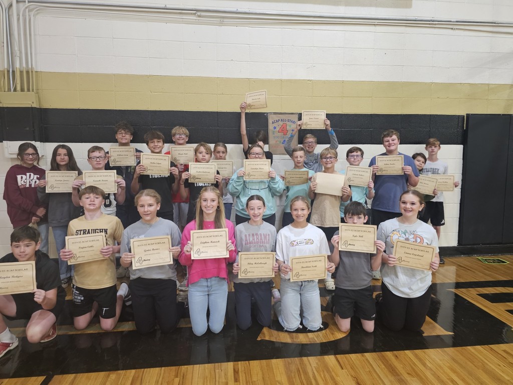 Students who made 4's on the ACAP.