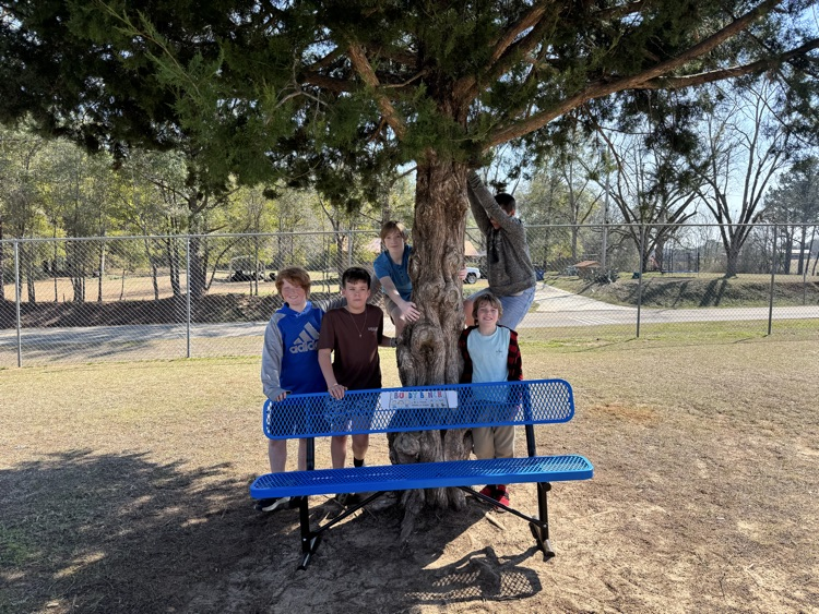 buddy bench