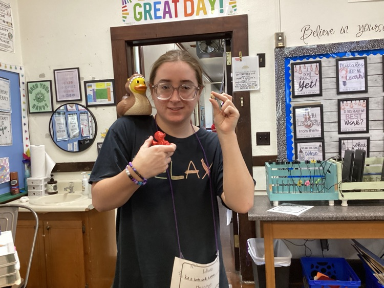 book character/idiom parade