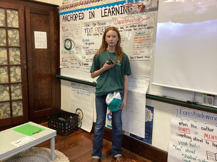 book character/idiom parade