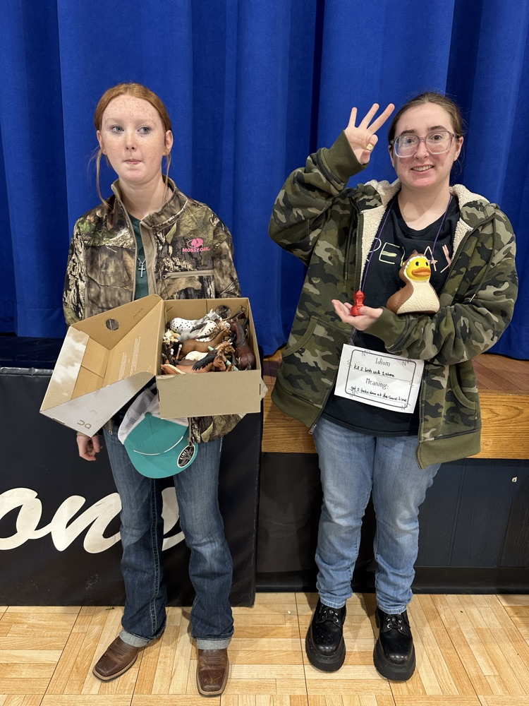 book character/idiom parade