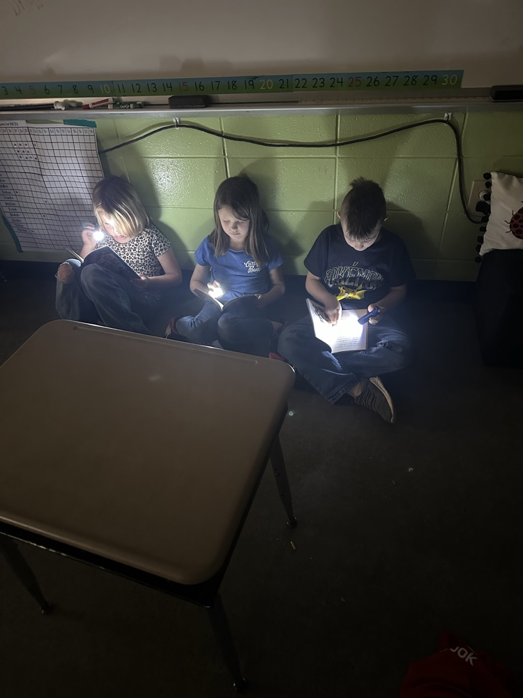 flashlight reading
