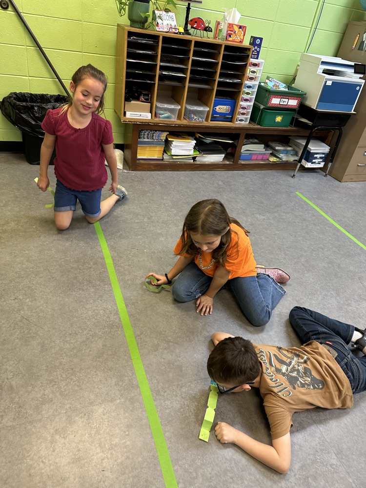 worm racing