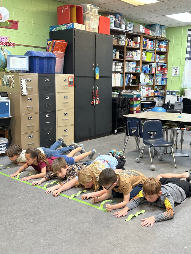 worm racing